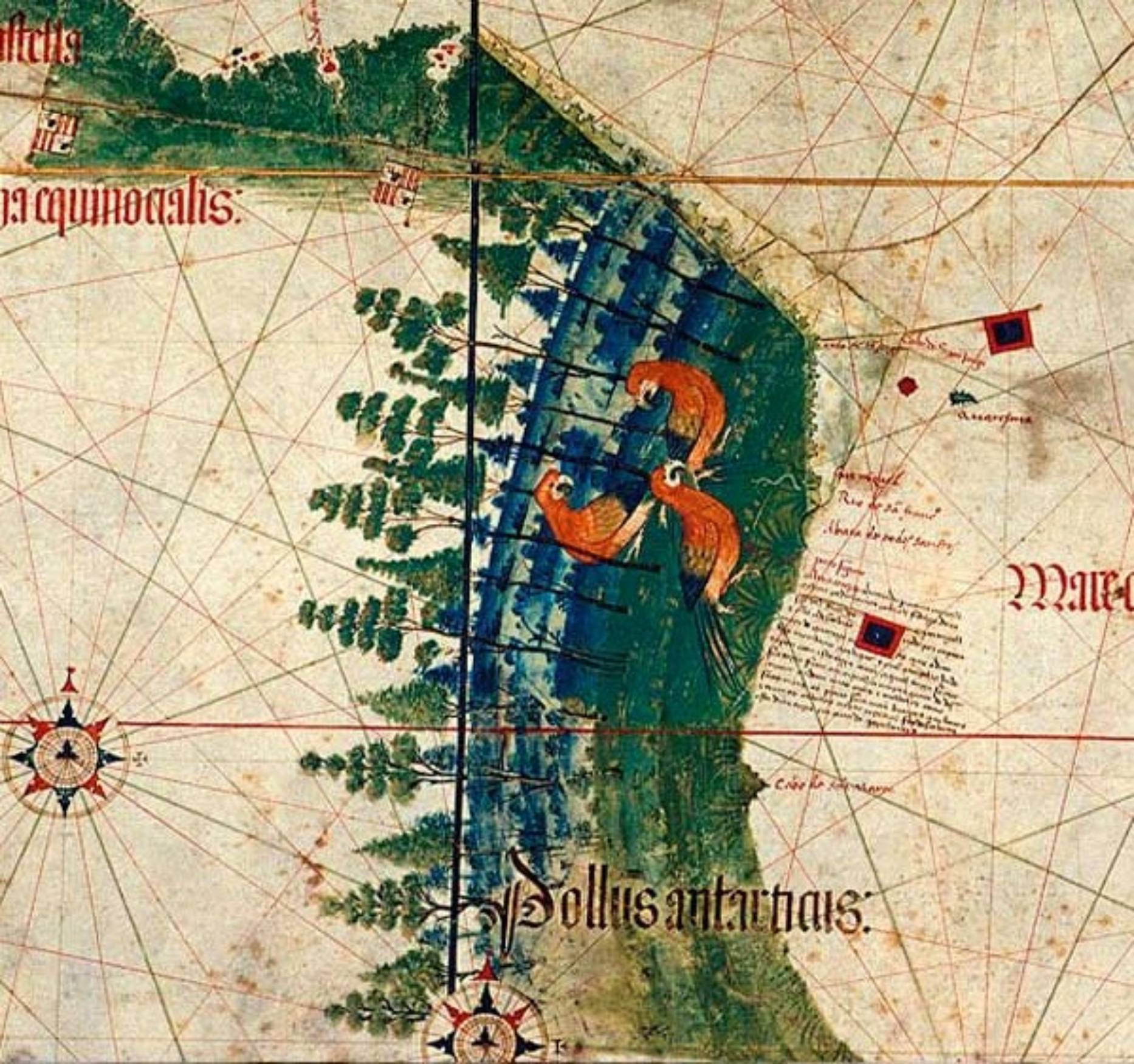 Mapa da chegada dos portugueses ao Brasil (Alberto Cantino - 1502)