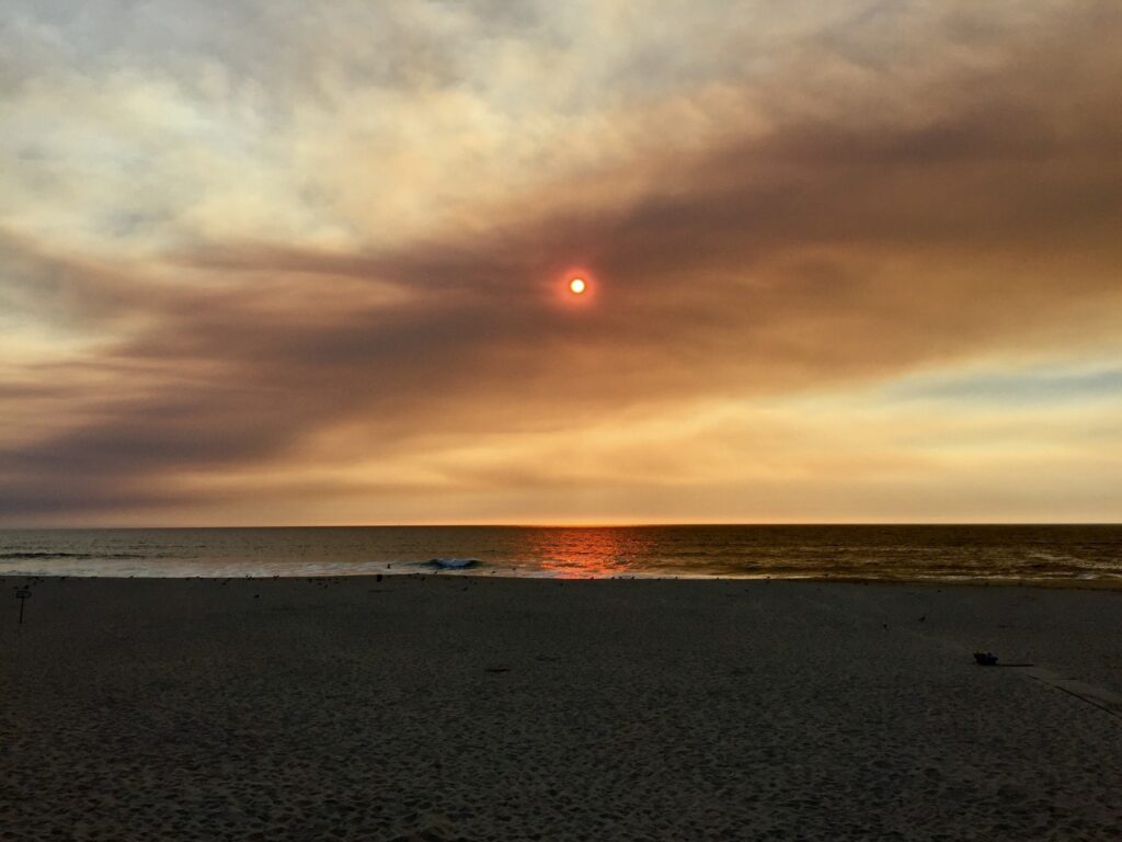 Praia da Torreira, Murtosa (Agosto 2016)